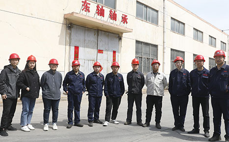 设计团队